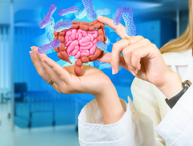 probiotikum bélflóra, agy, immunrendszer, mikrobiom