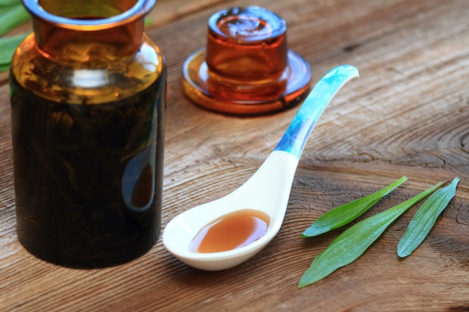 Így készíthet otthon lándzsás útifű szirupot köhögés, torokfájás ellen című cikk nyitóképe