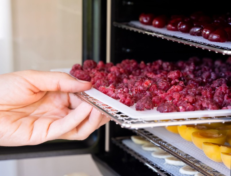 Aszalás, szárítás, adalékanyag, cukor, nélkül, egészséges