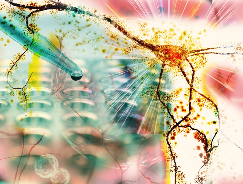 emlékek kialakulása, memória, emlékezet, stressz, trauma