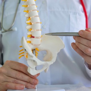 Debreceni Egyetem: vázrendszeri kutatások a gyógyítás szolgálatában című cikk nyitóképe