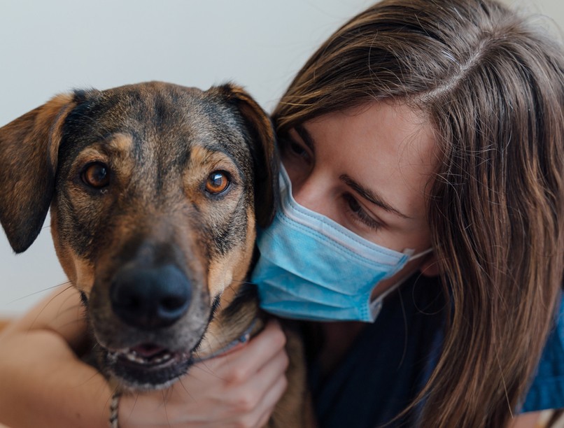 kutya, covid, koronavírus, orvos válaszol, vakcinainfó