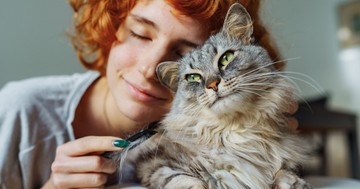  Nem fogja elhinni, mit derítettek ki a tudósok a macskák szeretetéről! Ezt teszi a macska az aggyal 