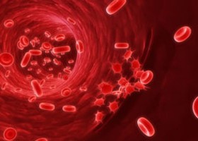 A jó koleszterin - még jobb!