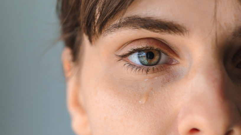 Fotó: Shutterstock