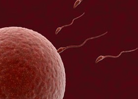 Meddőség - és vércsoportok