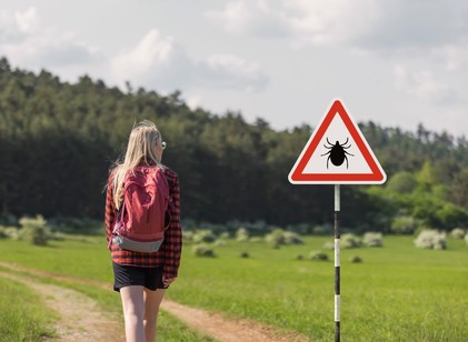 Új, invazív kullancsfaj terjed: súlyos, akár szervkárosodást okozó fertőzést is átadhat című cikk nyitóképe