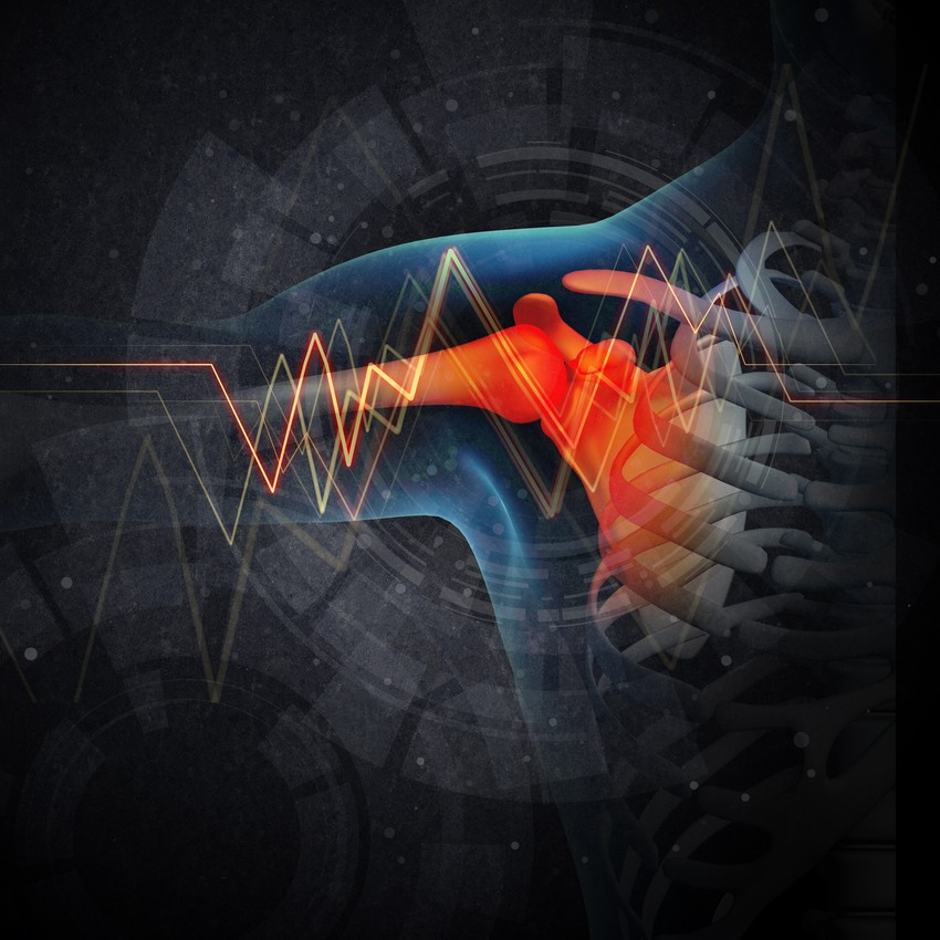 Váll alatt nem egyetlen ízületet értünk, hanem az egész vállövet, ízületek, szalagok és izmok, illetve csontok sokaságát.