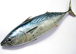 Korai halfogyasztással - az asztma ellen?