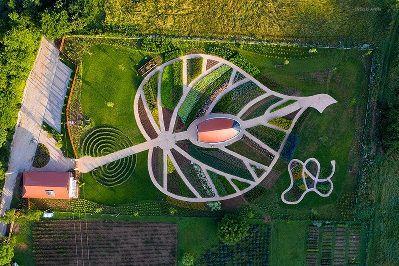 Gyönyörűen megújult Gyuri bácsi gyógynövényes kertje