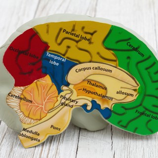 Hipofízis elégtelenség: tünetei, vizsgálata és kezelési lehetőségei című cikk nyitóképe