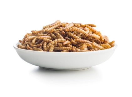 Galandféreg, bórax és káposztaleves – a történelem legbizarrabb méregtelenítő kúrái című cikk nyitóképe