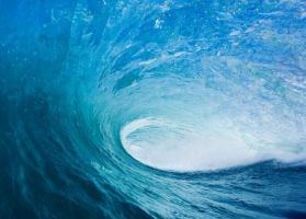 Algakivonattal - az érelmeszesedés ellen?