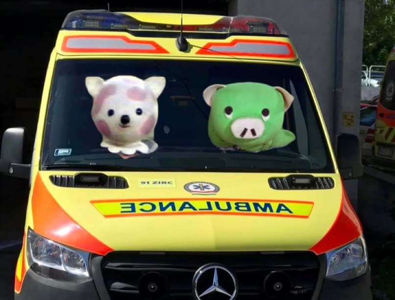 életmentés, szomszédok, összefogás, mentők