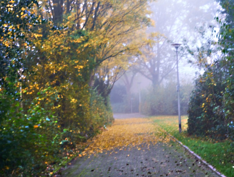 orvosmeteorológia, front, alvászavar, fényszegény