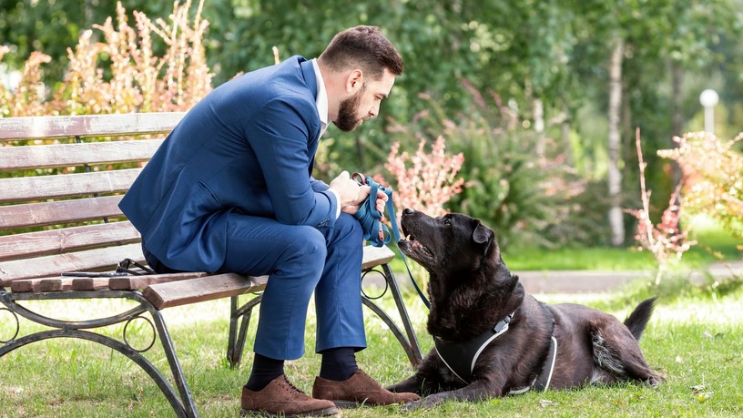 kutya ember beszéd kutatás