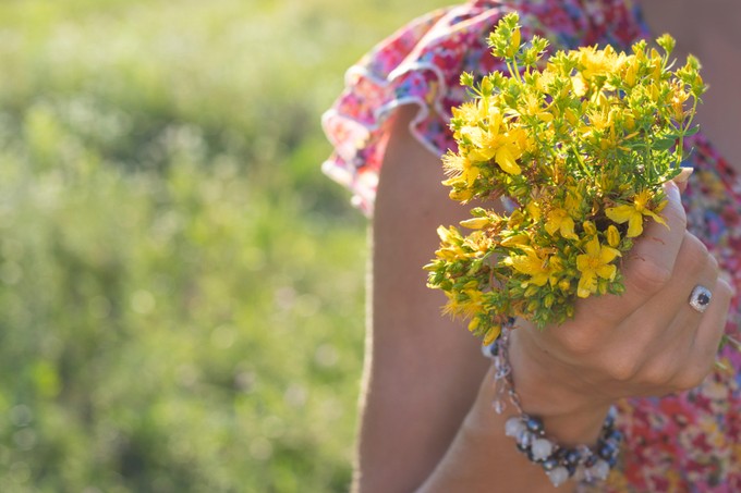 Klimax: ez a gyógynövény enyhítheti a menopauza panaszait című cikk nyitóképe