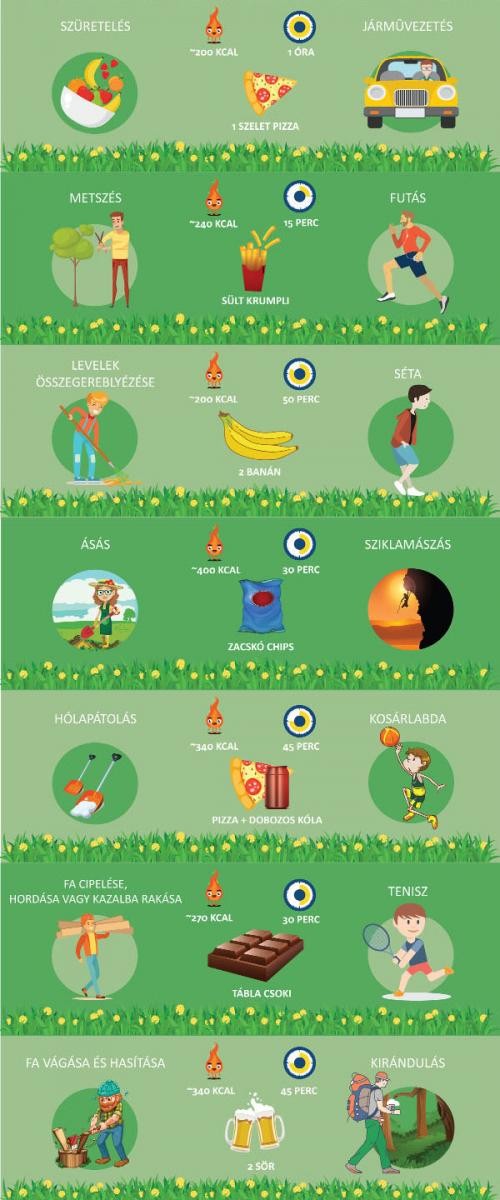 Ennyit fogyhat 1 óra kertészkedéssel - megéri gereblyét ragadni!