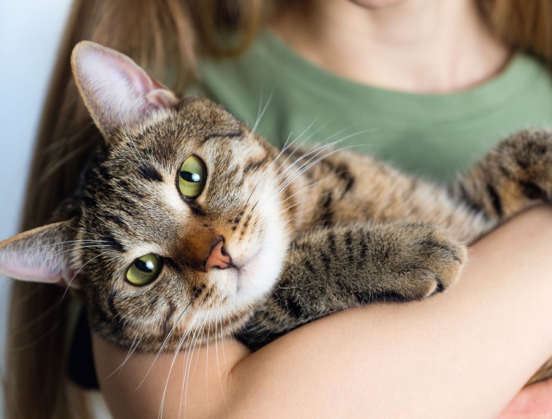 cica macska trilla boldogság hangja