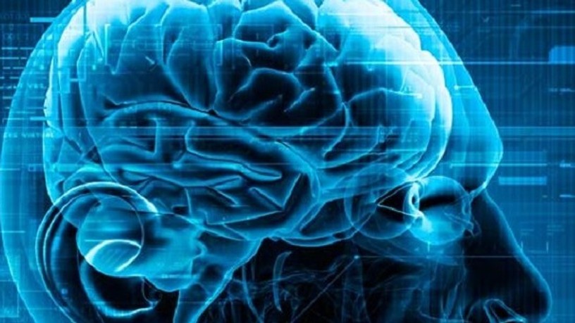 neuroscience-feature-art