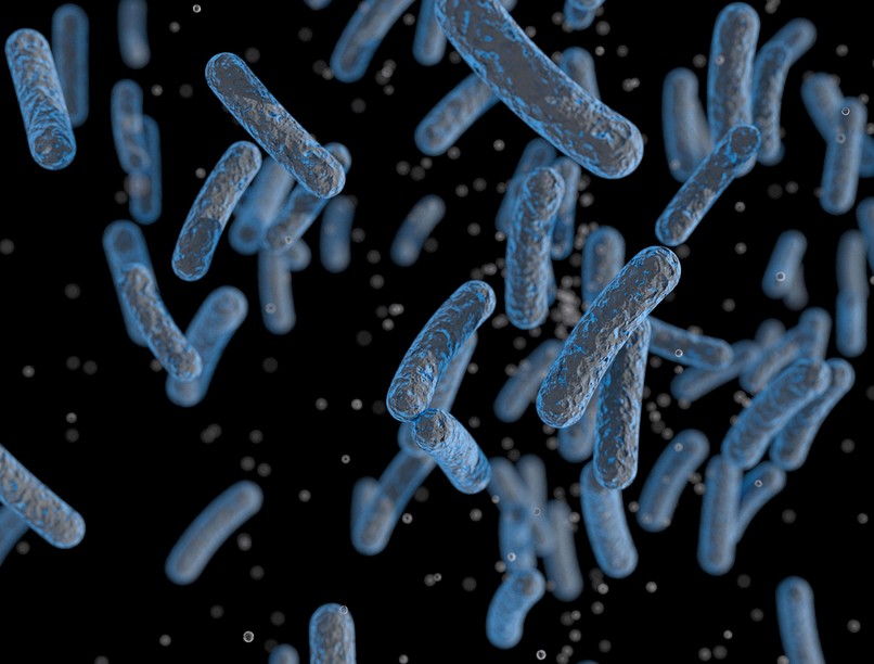 gyomorrák  gyors, agresszív Helicobacter pylori baktérium vizsgálat