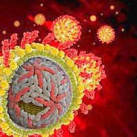 Csodaműszer a hepatitis-C ellen?!