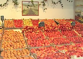 Egészségbarát éttermek