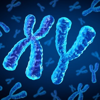 Nő vagy férfi? DSD is okozhatja azt, ha nem könnyű a kérdést eldönteni című cikk nyitóképe