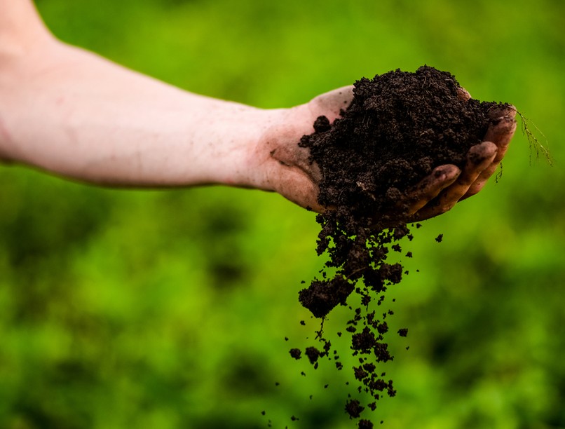 hevizi_tozeg_humicin