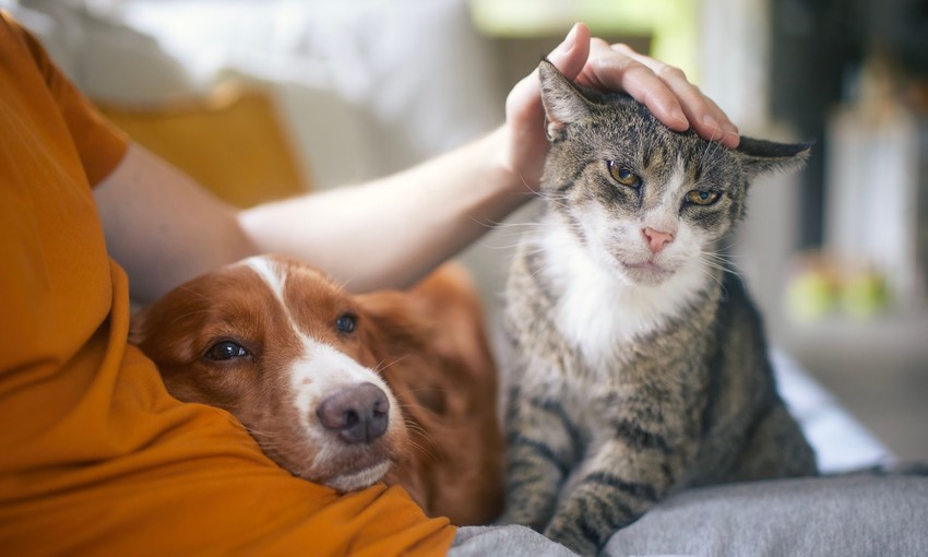 Az életmentők minden nap kockázatot vállalva szolgálják a közösséget, ezért segítenünk kell őket abban, hogy munkájuk hatékony és zavartalan legyen.