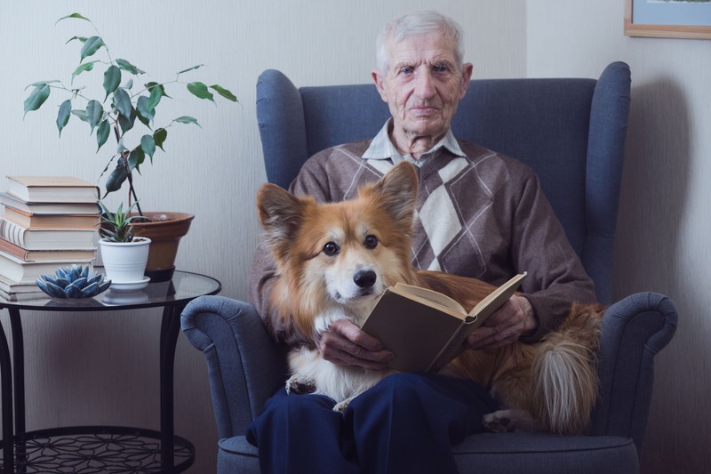 A kutyák hamarabb érezték hogy baj van – "Mintha tudták volna, hogy valami nem stimmel vele”