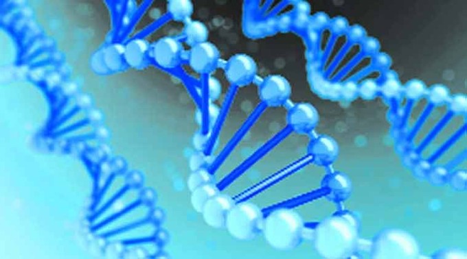 Géneken múlik a boldogság? című cikk nyitóképe