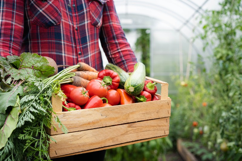 Honnan tudhatja biztosra, hogy egy készítmény bio vagy sem?