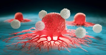 Mi a rák? Az első jelektől az áttétig, kezelésig, túlélésig – ezeket érdemes tudni róla