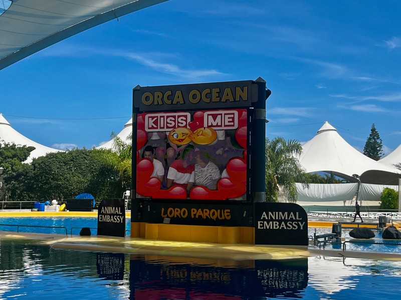 Coldplay-koncerten csattant a csók: itthon milliós bírság járhatna érte a szakértő szerint