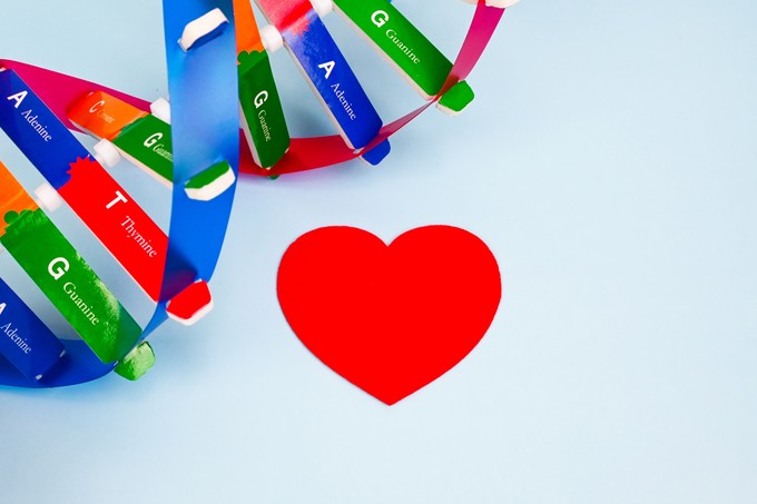 Szívbetegség: öröklött végzet, vagy tehetünk ellene? Ezzel befolyásolhatja című cikk nyitóképe