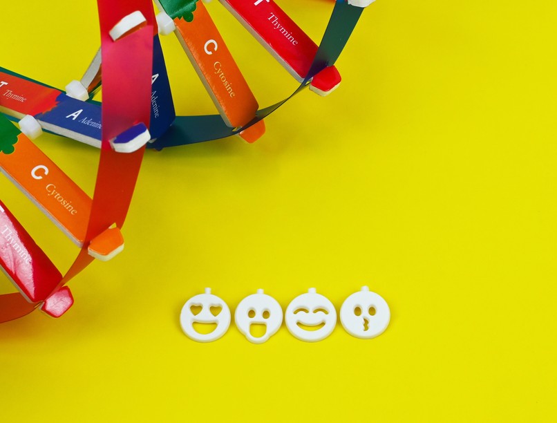 Cukorbetegség, SM, lupus ellen terápia génexpresszió