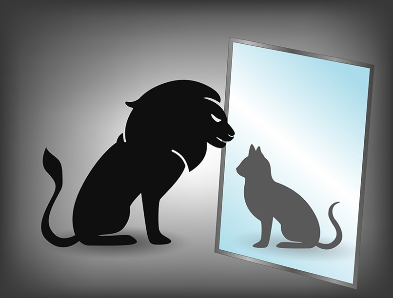 önbizalom, magabiztos, önfejlesztés, mentális egészség, lelki egészség