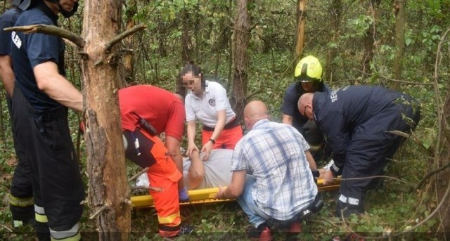 Megrendítő hangfelvétel: így találták meg a Vecsés közeli erdőben eltévedt férfit, aki stroke-ot kapott