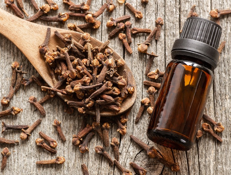 mire jó a szegfűszeg