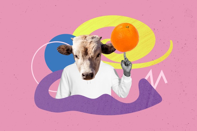 Orvosmeteorológia: rossz előjellel indul a 2026! Sokan már újév hajnalán frászt kapnak ettől című cikk nyitóképe