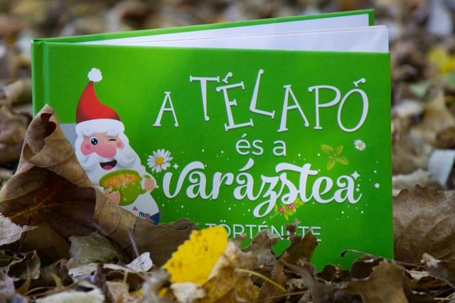 Mesekönyv ajánló: A Télapó és a varázstea története