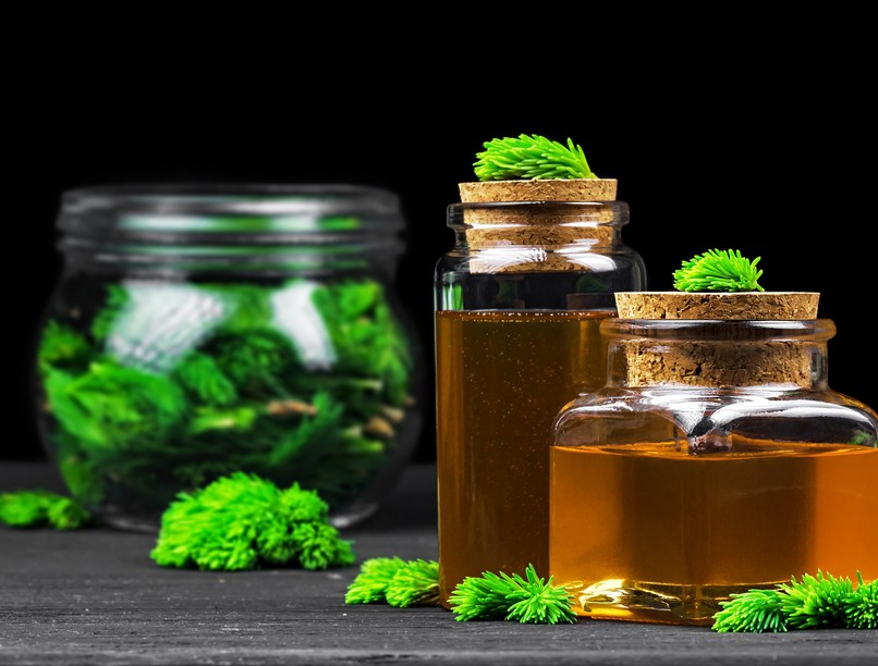 fenyőrügy szirup készítése mézzel