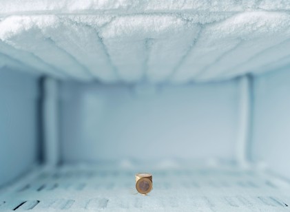 Ezért érdemes érmét tenni a fagyasztóba – megóvhatja az egészségét utazás után  című cikk nyitóképe