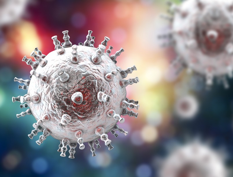 A genitális herpesz okozója a Herpes simplex II. (Herpes simplex genitalis) vírus. 