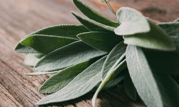 Mire jó a zsálya? Ezért érdemes rendszeresen fogyasztani