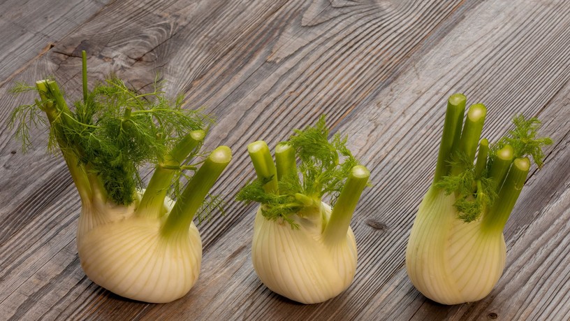 puffadás ellen legjobb zöldség édeskömény olasz kapor
