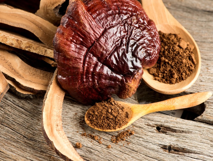 gyógygombák, Ganoderma, Grifola, Cordyceps