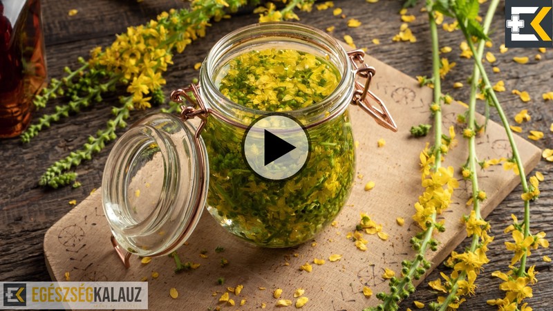 Apróbojtorján: nem hiszi el, mennyi mindenre hatásos lehet