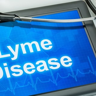 1-2 éven belül itt lehet a Lyme-kór elleni vakcina  című cikk nyitóképe